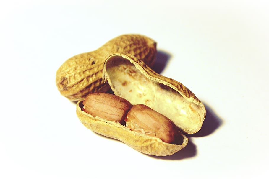 peanut sed, peanuts, snack, nutrition, healthy, nibble, decoration, HD wallpaper