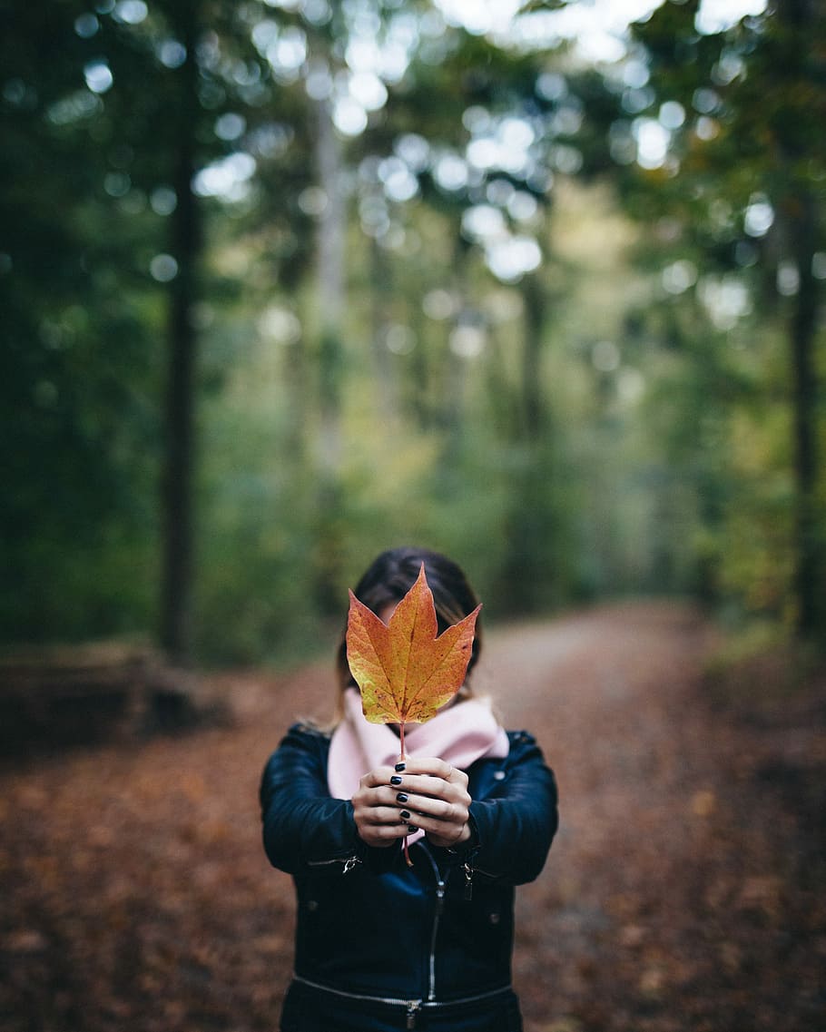 woman holding maple leaf, woman holding leaf, woodland, forest HD wallpaper