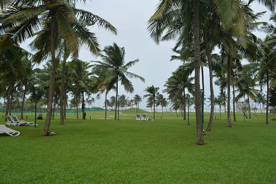 golf course, beach, nature, outdoor, landscape, sky, green HD wallpaper