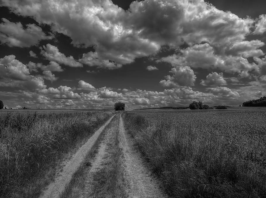 lane, field, nature, clouds, atmosphere, summer, cloud - sky HD wallpaper