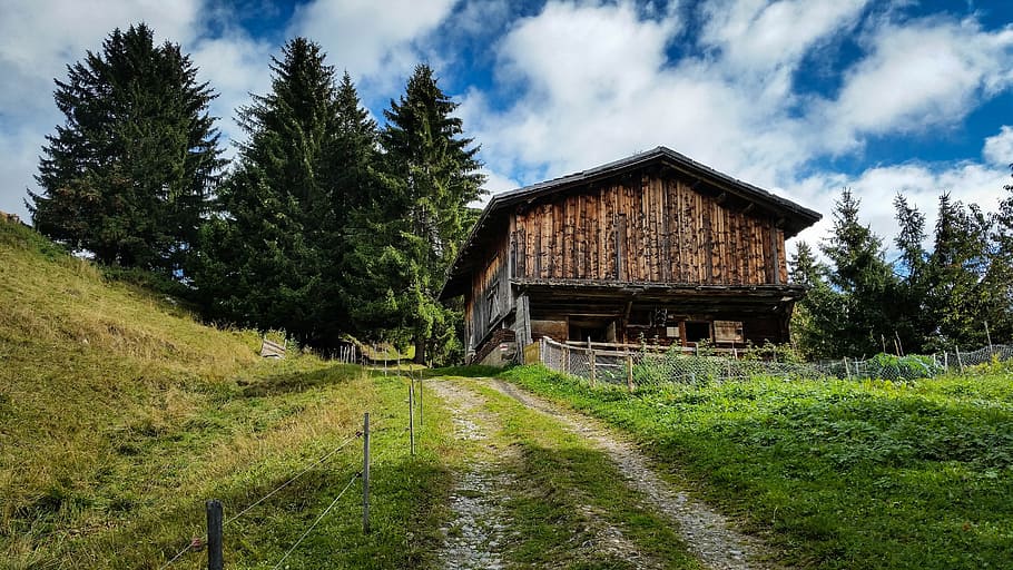 Hut, Switzerland, Alm, house, rural scene, built structure HD wallpaper