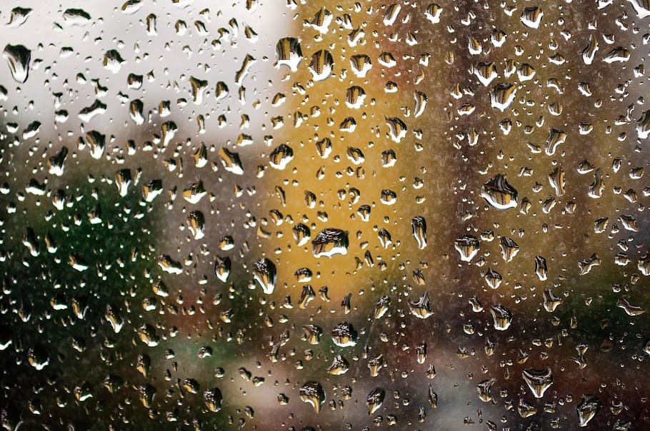 rain, window, glass, wet, rain drops, transparent, droplet HD wallpaper