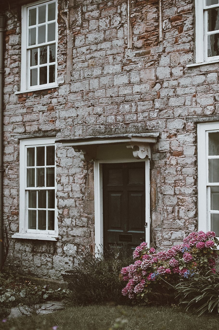 pink flowers near door, old building, architecture, mood, folk HD wallpaper