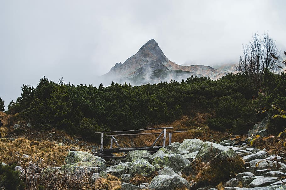 Lost in the High Tatras, green trees in front of mountain, peak HD wallpaper
