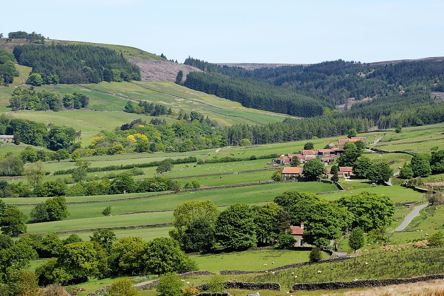 Yorkshire Moors, Dales, landscape, england, countryside, english