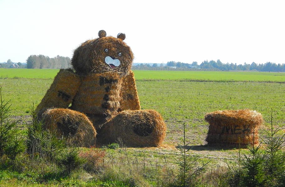 straw, bear, the road, plant, animal themes, mammal, landscape HD wallpaper