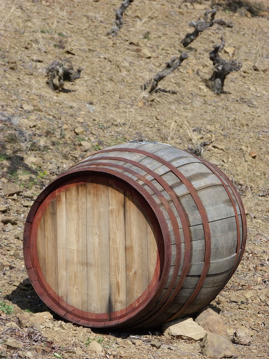 cask, vineyard, viticulture, wine, barrel, land, wood - material, HD wallpaper