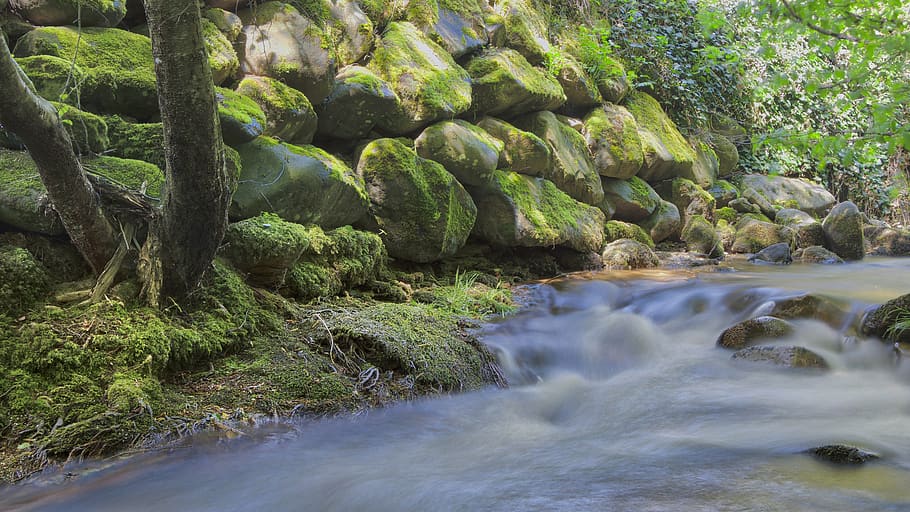 waters, nature, river, moss, flow, bach, creek, watercourse HD wallpaper