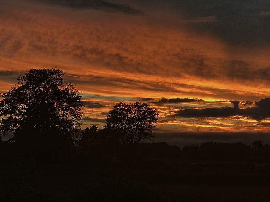 sunset, sky, landscape, summer, tree, orange color, beauty in nature HD wallpaper