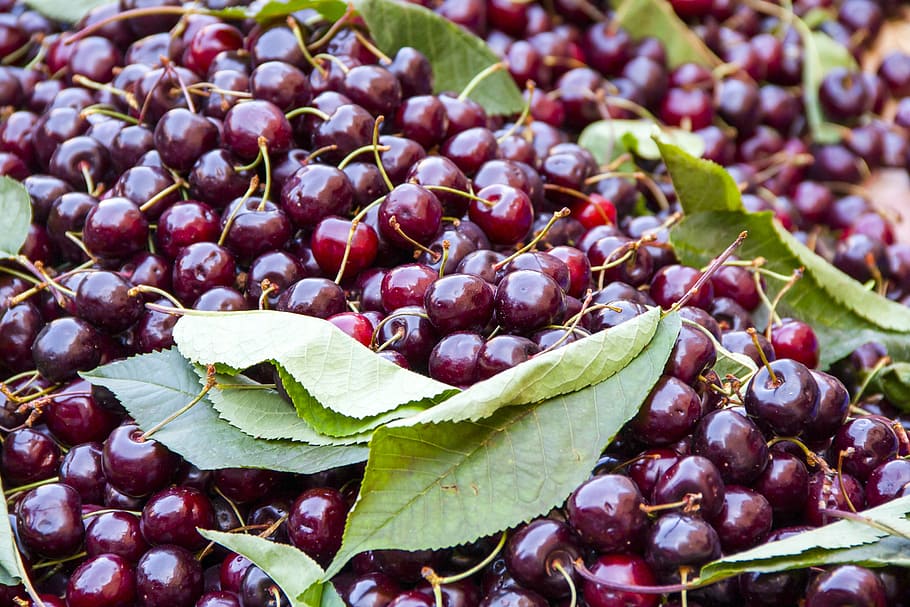 cherries, fruit, market, red, food, food and drink, healthy eating HD wallpaper