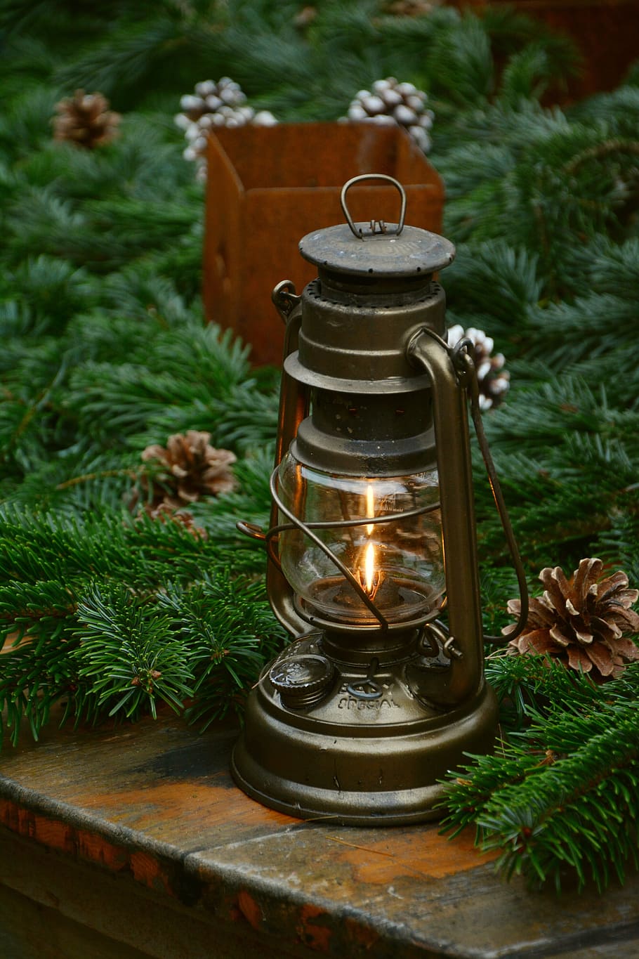 lantern beside the artificial leaves, decoration, advent, holly HD wallpaper