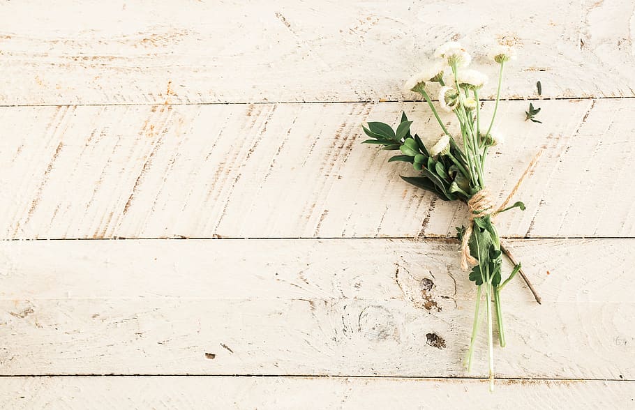 rule of thirds photography of white rose, flower, petal, bloom HD wallpaper