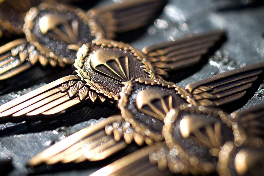 HD wallpaper: close-up photo of paratrooper pin badges, bundeswehr, jump  wings | Wallpaper Flare