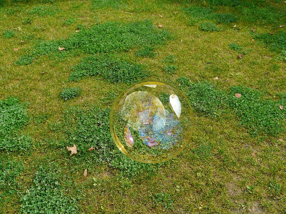 Soap Bubble, Huge, Shimmer, large, colorful, fly, soapy water HD wallpaper