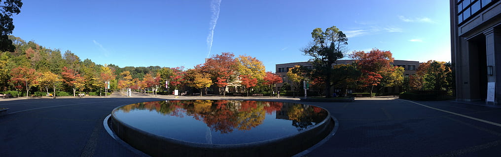 reflection, fountain, square, blue sky, autumnal leaves, refreshing HD wallpaper
