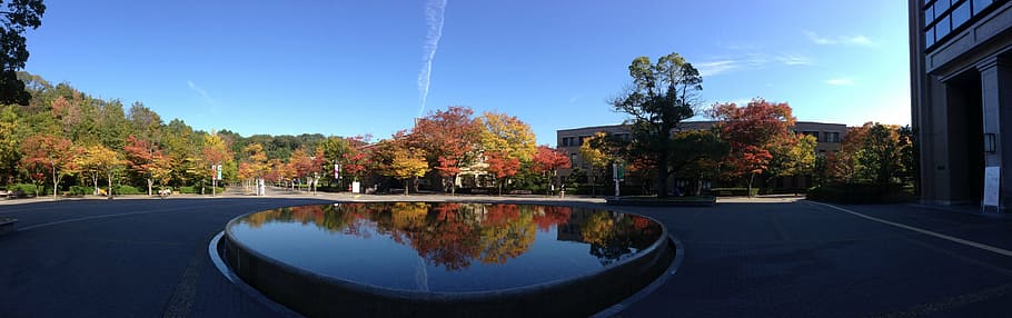reflection, fountain, square, blue sky, autumnal leaves, refreshing HD wallpaper