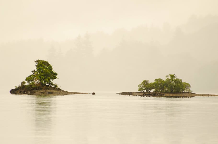 green leafed trees surrounded by water under cloudy sky at daytime HD wallpaper