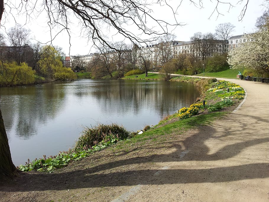 copenhagen, park, denmark, tree, plant, water, nature, tranquility HD wallpaper
