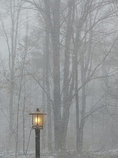 lighted black street light near trees fogs, post, lamp, outside HD wallpaper