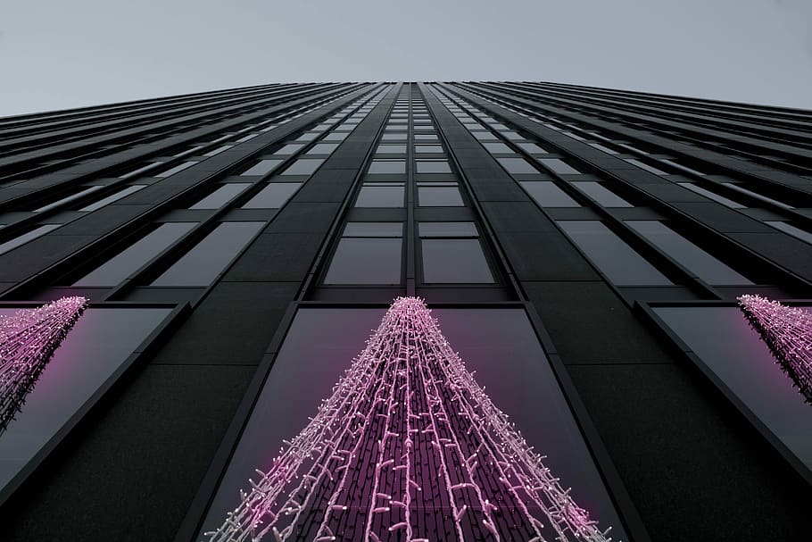 Montreal Tones, black building during daytime, skyscraper, neon light HD wallpaper