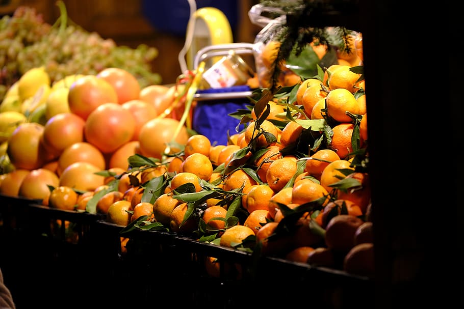 oranges, grapefruit, lemons, citrus fruit, vitamins, healthy HD wallpaper