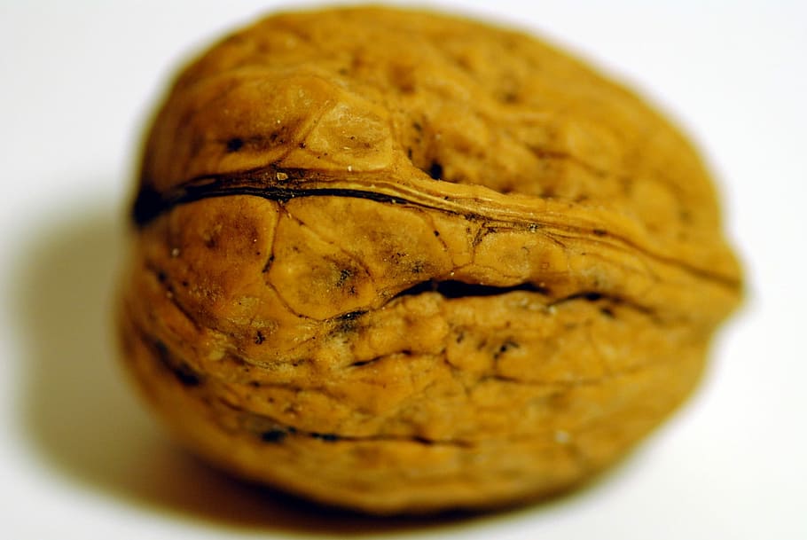 Walnut, Dry Fruit, Dried, Snack, food, healthy, diet, seeds HD wallpaper