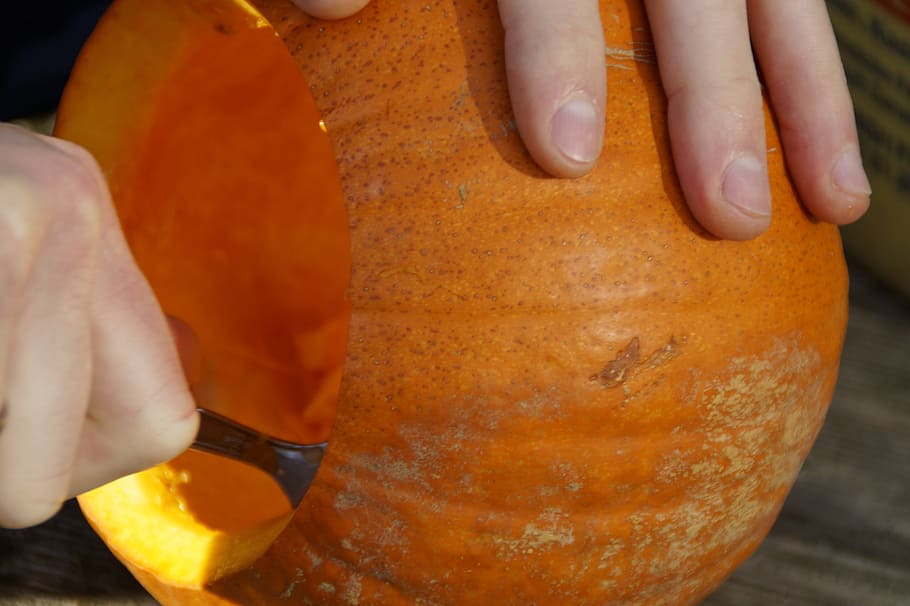 pumpkin, pumpkins, orange, bright, autumn, autumn decoration HD wallpaper