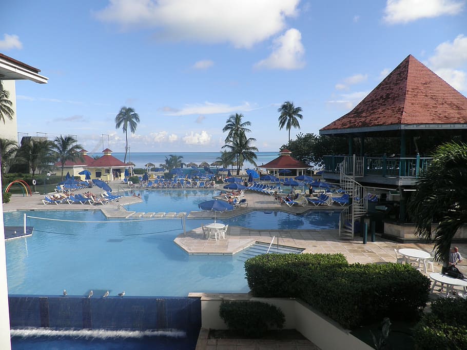 assorted loungers and parasol beside pool, hotel, ocean, tropical HD wallpaper