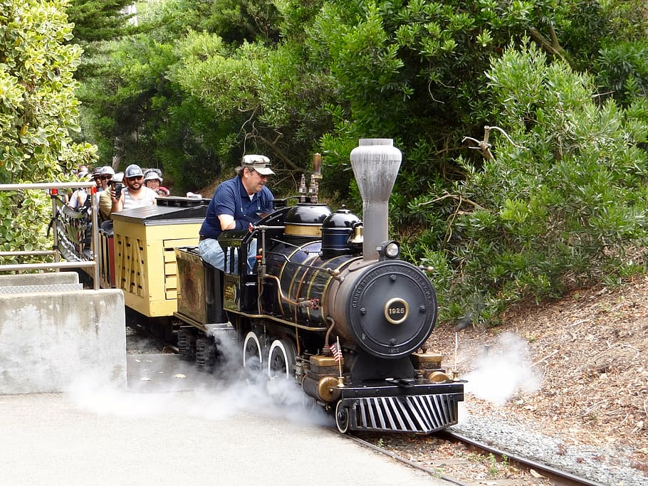 train, little train, park, walk, holiday, real people, plant HD wallpaper