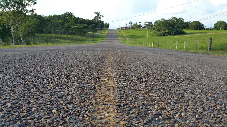 pavement, road, belize, tree, plant, transportation, nature HD wallpaper