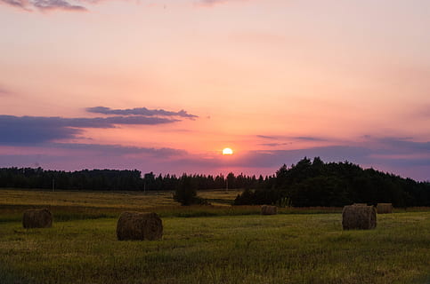 august, stack, summer, evening, straw, hay, field, landscape HD wallpaper