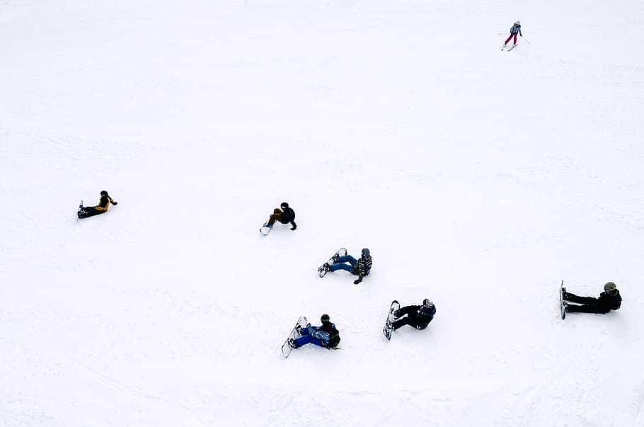 people playing snowboards, photo of people ski on snow, winter, sport HD wallpaper