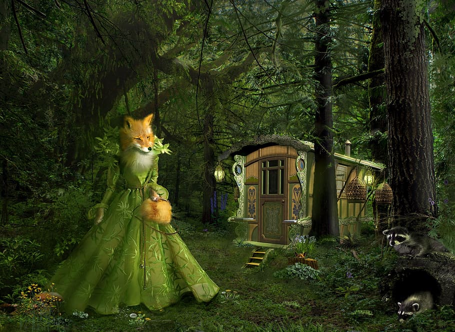 fox, forest house, story, tree, plant, mammal, nature, animal HD wallpaper