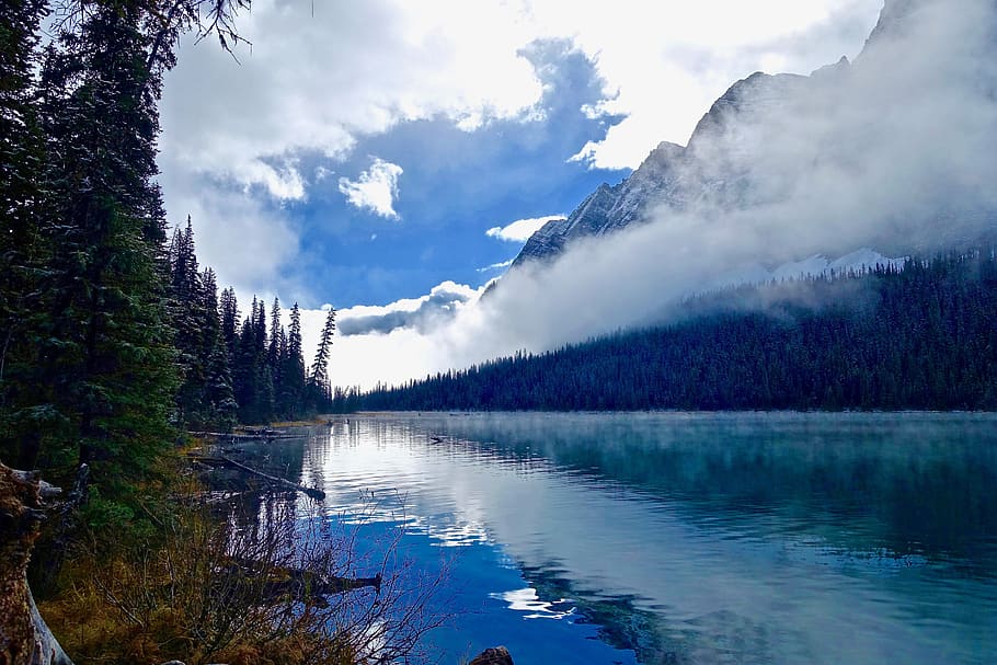 Lake, Mist, Sunlight, Reflection, Fog, morning, nature, wilderness HD wallpaper