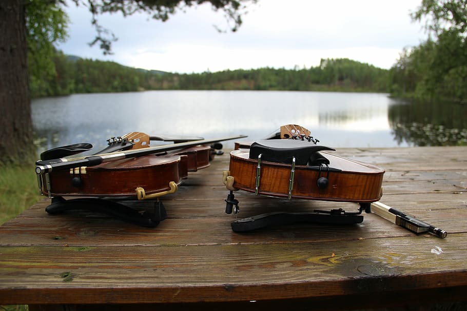 violins, nature, water, musical instrument, wood - material