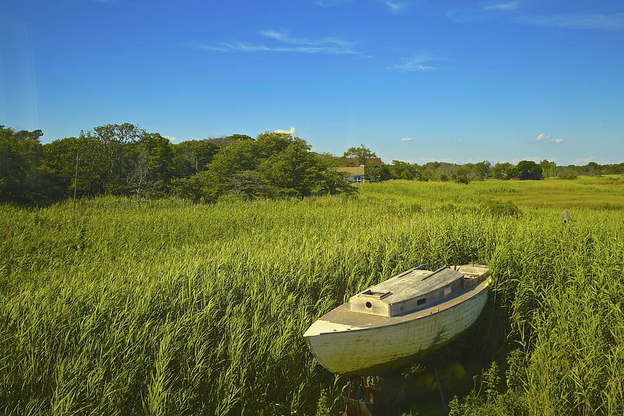 brown boat on green grass, nature, landscape, trees, leaves HD wallpaper