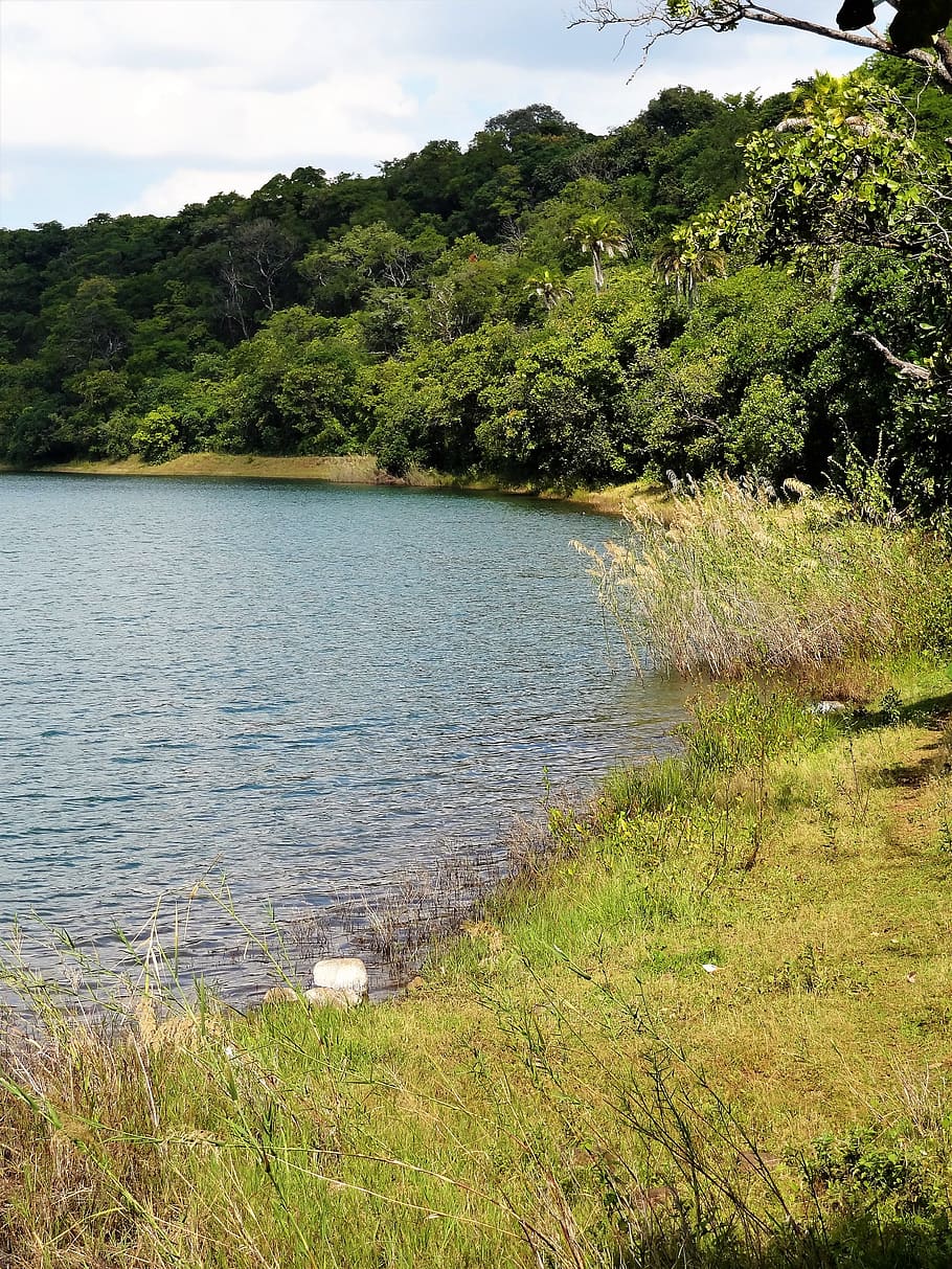 water, waters, bank, landscape, lake, bach, river, mood, plant HD wallpaper
