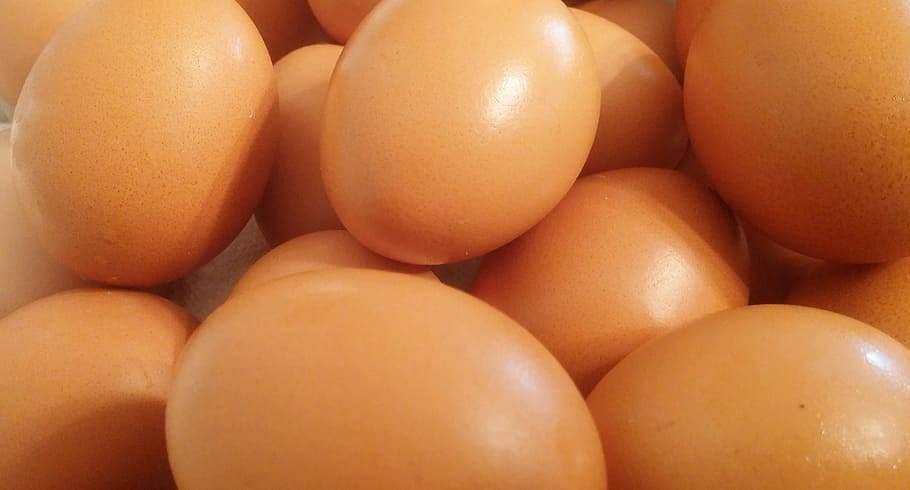 brown eggs, Food, Shell, Oval, Chicken, nutrition, healthy eating HD wallpaper