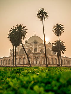 white and brown dome building near green and coconut tree grass at daytime, white mosque photo HD wallpaper