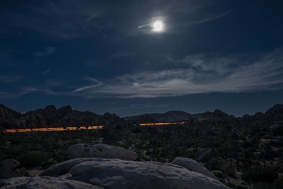 Night in Joshua Tree, view of road and trees during full moon HD wallpaper