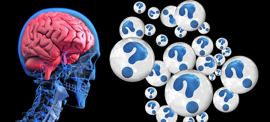 human brain illustration, question mark, alzheimer's, dementia