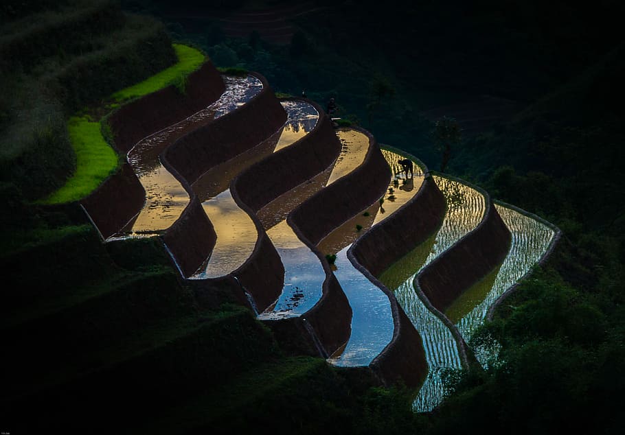 sunset in Ruong_Bac_Thang, Banaue Rice Terraces, Philippines HD wallpaper