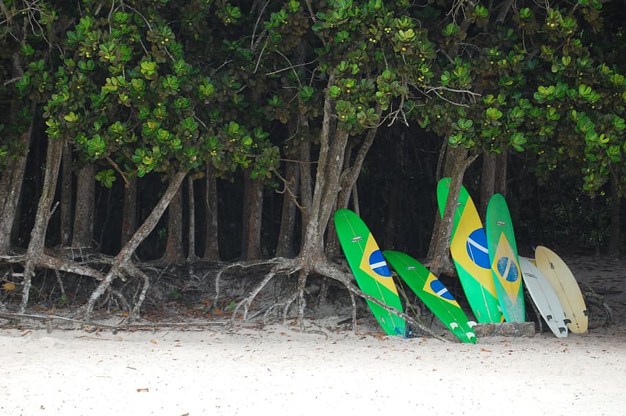 Surf, Beach, Lei, Plank, Ilha Grande, rio de janeiro, tree HD wallpaper