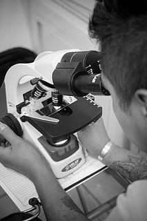 technology, microscope, research, microbiology, team, lab, analysis HD wallpaper