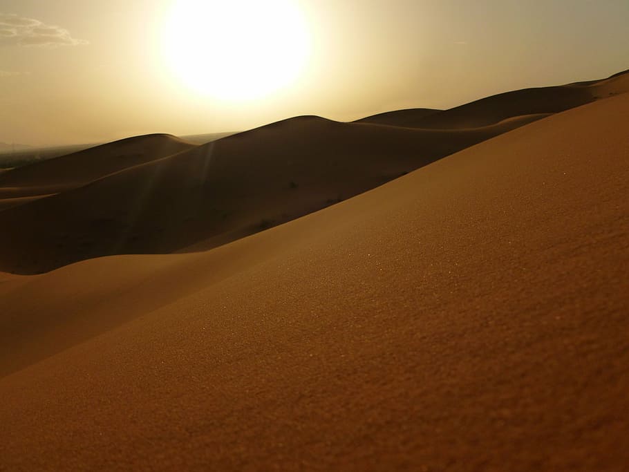 sand dunes during daytime, morocco, sahara, erg chebbi, landscape
