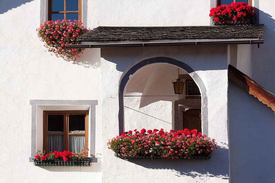 Home, Input, Floral, Decorations, floral decorations, architecture HD wallpaper