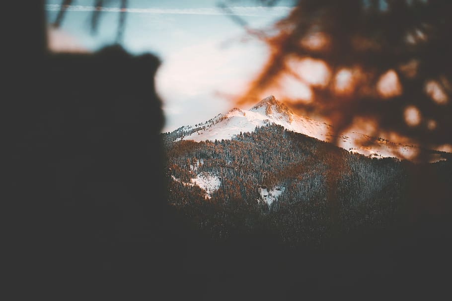 snow-covered mountains near trees during daytime, mountain with snow HD wallpaper