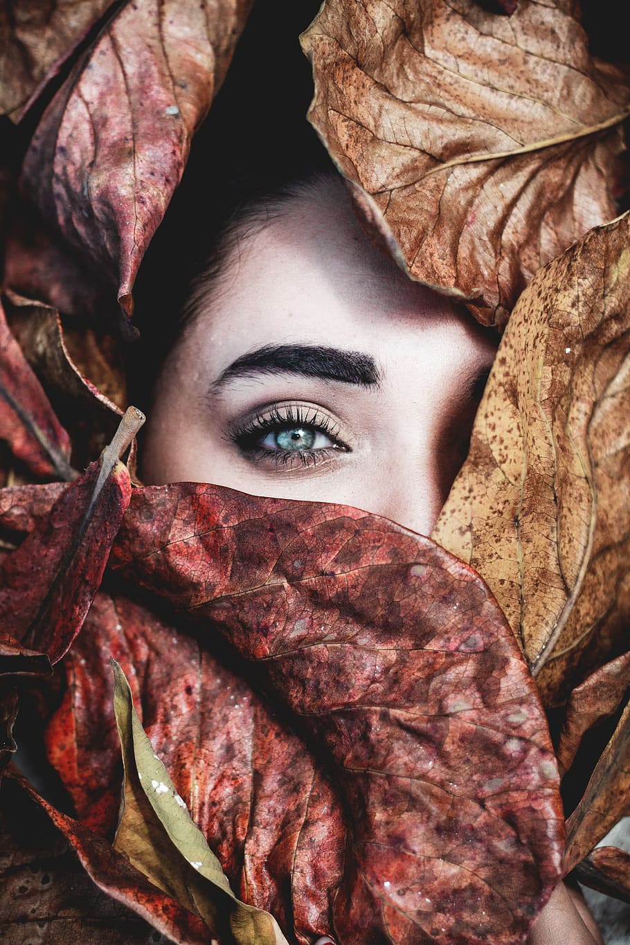 Inside, painting of woman, female, eye, leaf, autumn, fall, caucasian, HD wallpaper