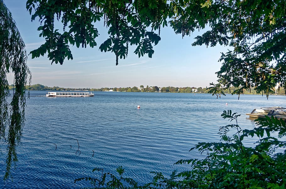 hamburg, outer alster, spring, tree, water, plant, nautical vessel HD wallpaper