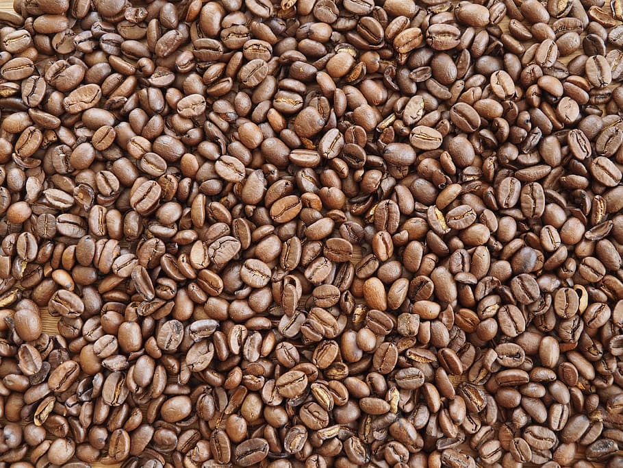 coffee beans, brown, caffeine, roasted, aroma, aromatic background, HD wallpaper